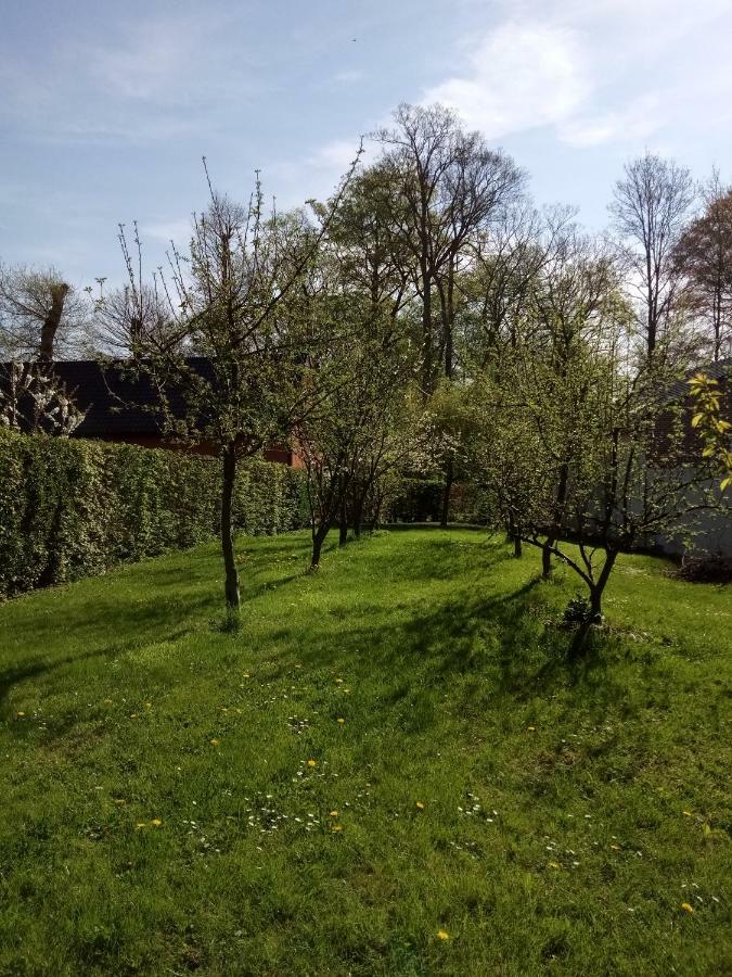 Gite Du Montagnard Oxelaere ภายนอก รูปภาพ
