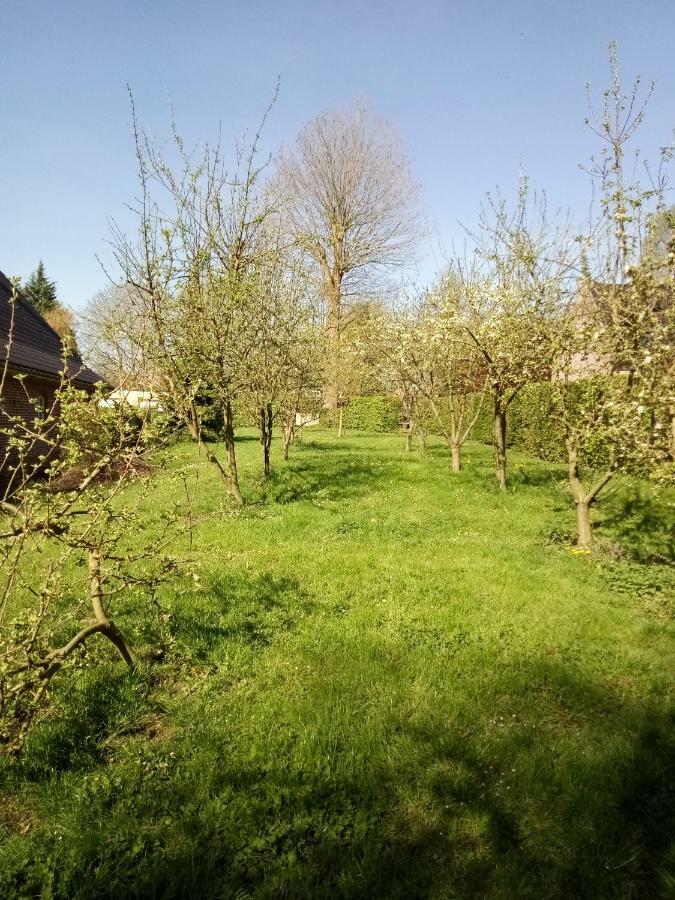 Gite Du Montagnard Oxelaere ภายนอก รูปภาพ