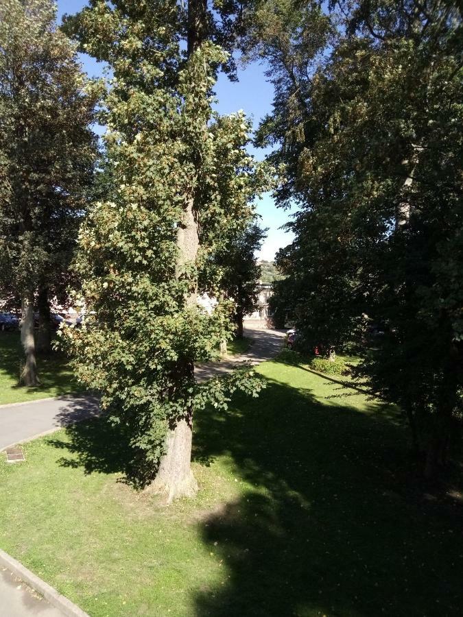 Gite Du Montagnard Oxelaere ภายนอก รูปภาพ
