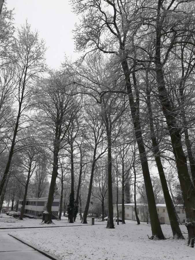 Gite Du Montagnard Oxelaere ภายนอก รูปภาพ